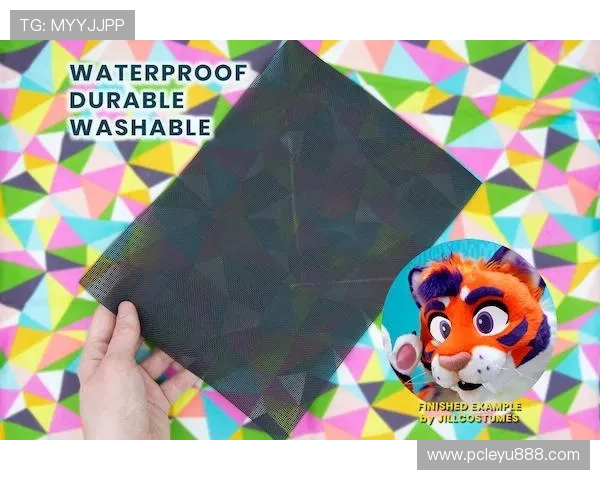 乐鱼圈网页版登录入口无法登录的原因分析与快速解决技巧