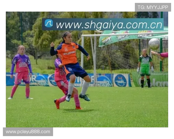 乐鱼在线登入登录界面优化建议，提升用户操作便捷性